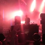 “Tyson” – American Dave